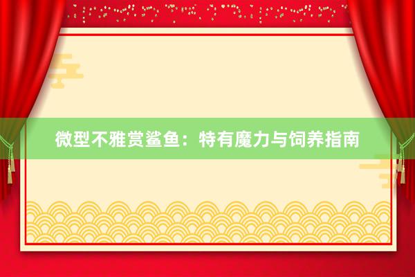 微型不雅赏鲨鱼：特有魔力与饲养指南